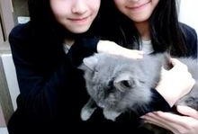 sandy最新爆料,揭秘娱乐圈惊天秘密